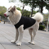 XS-5XL Dog Vest Shirt, Summer T-shirt for Small Dogs, Chihuahua Apparel.